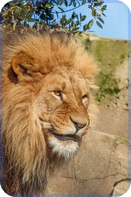 증권사환전수수료 낮은 곳 어디인가요