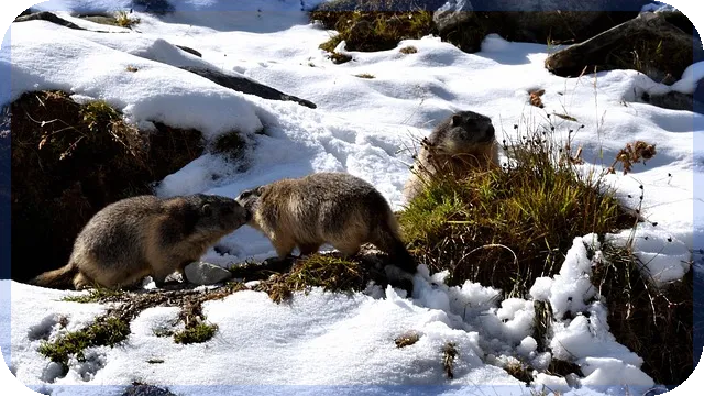증권사환전수수료 낮은 곳 어디인가요