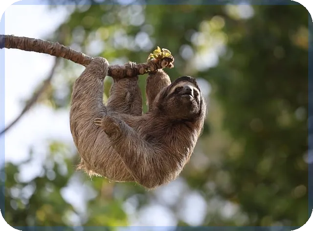 하나프라임론 신용점수 355점 이상으로 최대 1억대출 가능