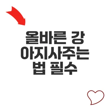 강아지사주는법을 알아야 하는 이유와 올바른 방법